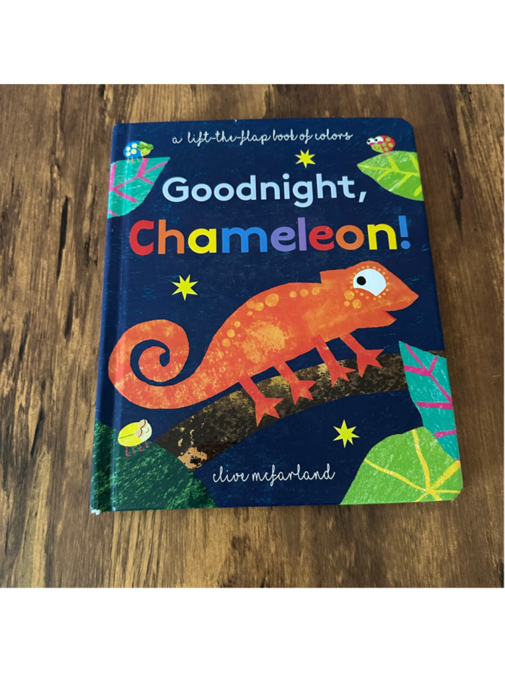 Goodnight Chameleon Board Book Kane Miller Lift the Flap Colors Toddler